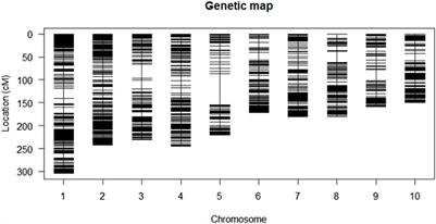 Mapping quantitative trait loci and predicting candidate genes for Striga resistance in maize using resistance donor line derived from Zea diploperennis